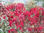 Вікторія Кучер фотография #13 (источник - https://vk.com/id3965617)