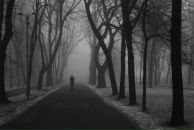 Фотография Шишкин Денис