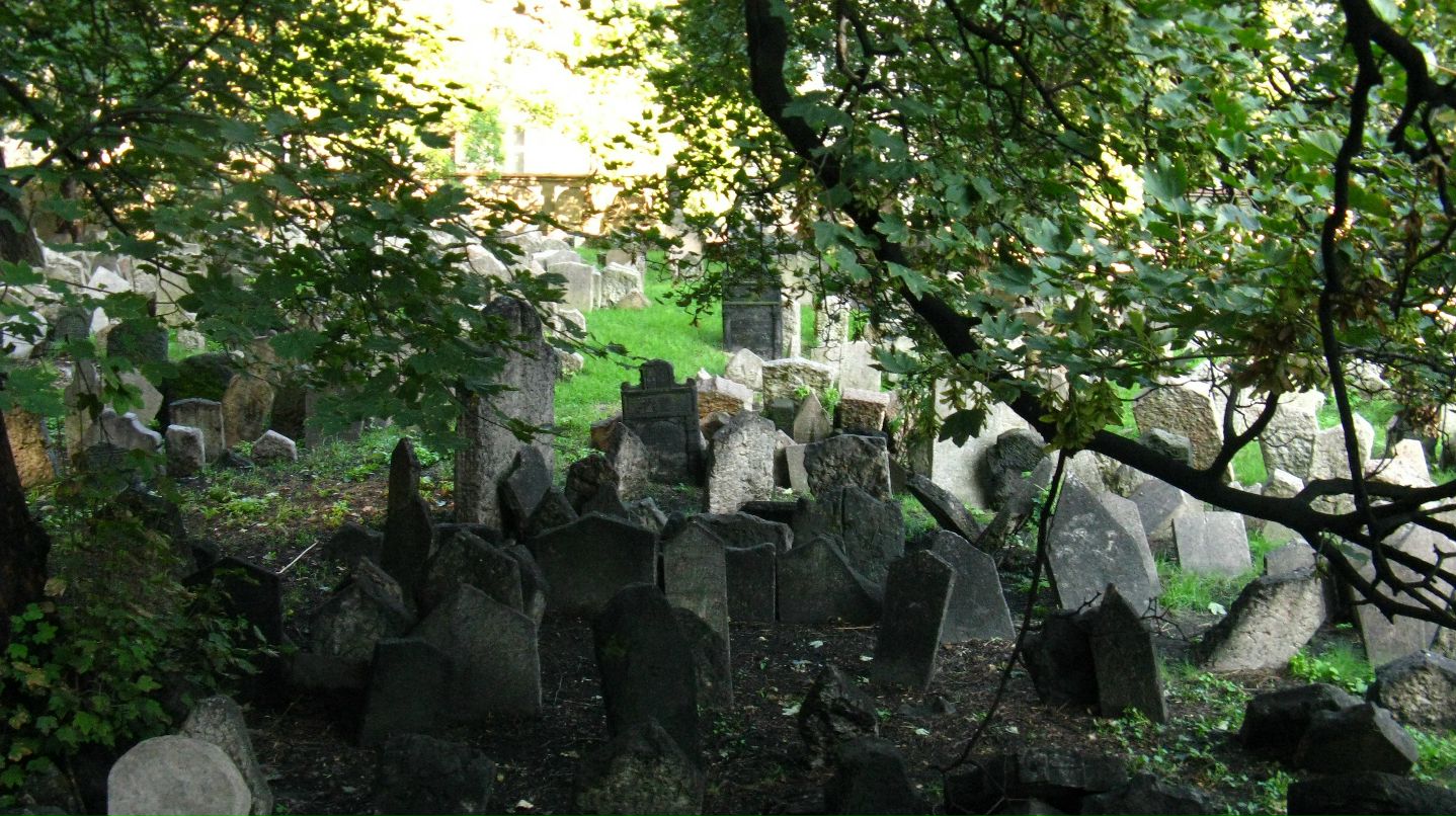 Владимир Дементьев фотография #26