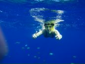 Фотография Солодянкин Алексей