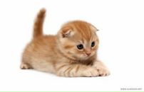 Фотография Снеговской Наташи