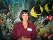 Фотография Лазоренко Светланы