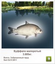 Николай Полозун фотография #1