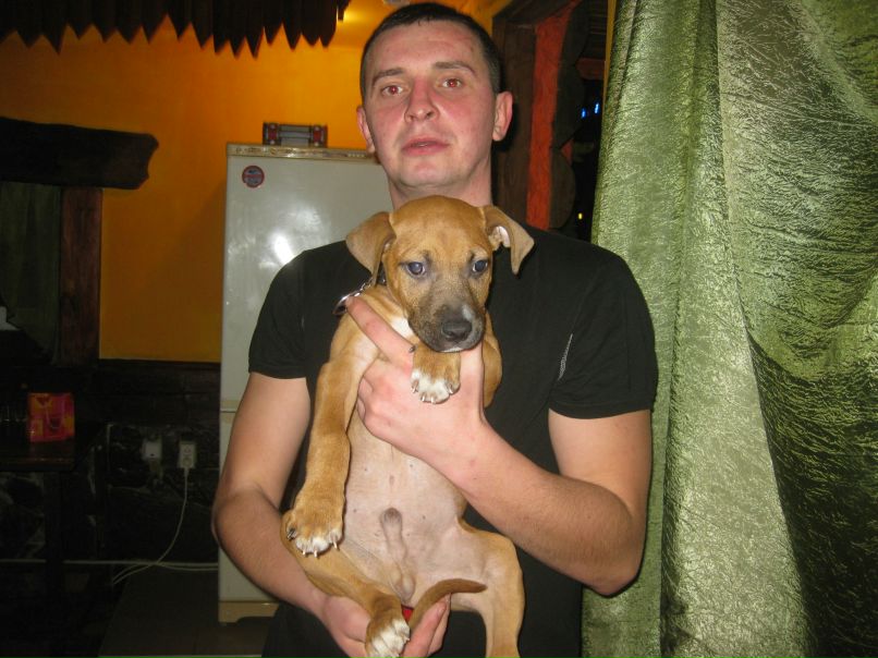 Дмитрий Шитов фотография #34