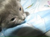 Роман Киреев фотография #34 (источник - https://vk.com/id2910844)