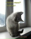 Марія Процайло фотография #34 (источник - https://vk.com/id75058663)