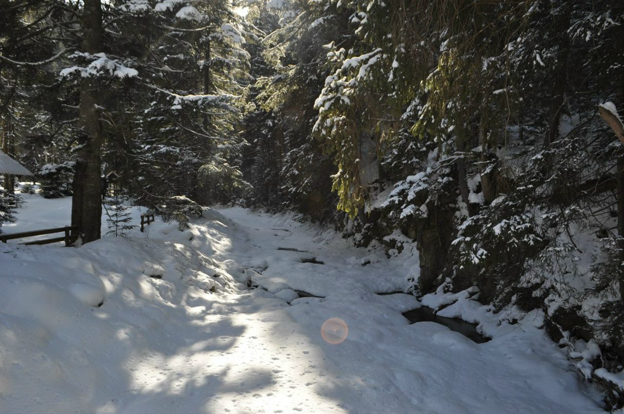 Сергей Левковский фотография #37
