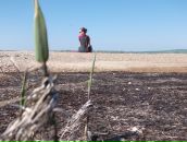 Фотография Рогозы Юли