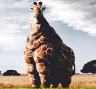 Фотография Ефимова Виктора