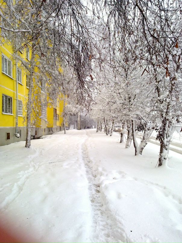 Dima Shaverin фотография #26