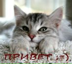 Фотография Пуха Александра