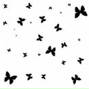 Каріна Бокшо фотография #4 (источник - https://vk.com/id88423234)