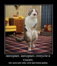 Анастасія Карпенко фотография #38 (источник - https://vk.com/id151654804)