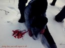 Ніна Таран фотография #14 (источник - https://vk.com/id143353492)