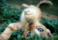 Ириша Шуст фотография #1