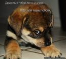 Анастасія Давидук фотография #9 (источник - https://vk.com/id163466939)