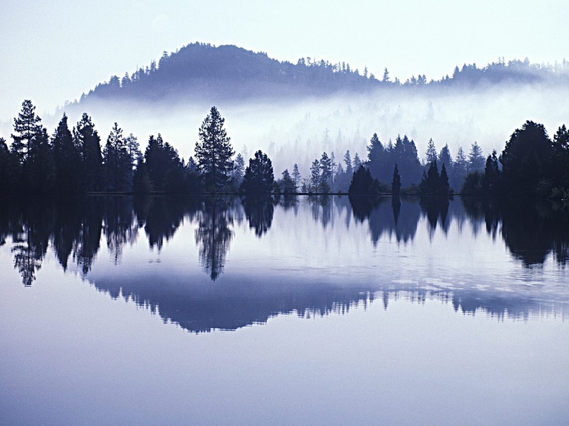 Владимир Кузьмин фотография #6