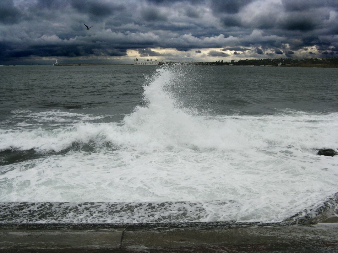 Вадим Воренас фотография #47