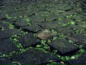 Сергій Пришляк фотография #39 (источник - https://vk.com/id7337511)