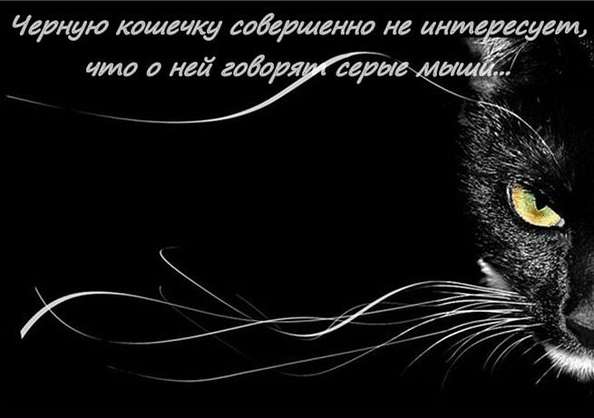 Таня @@@ фото №24