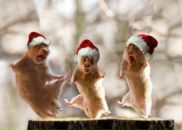 Michael Klassen фотография #48 (источник - https://vk.com/id4876689)