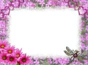 Οксана Κоновалова фотография #18 (источник - https://vk.com/id165406157)