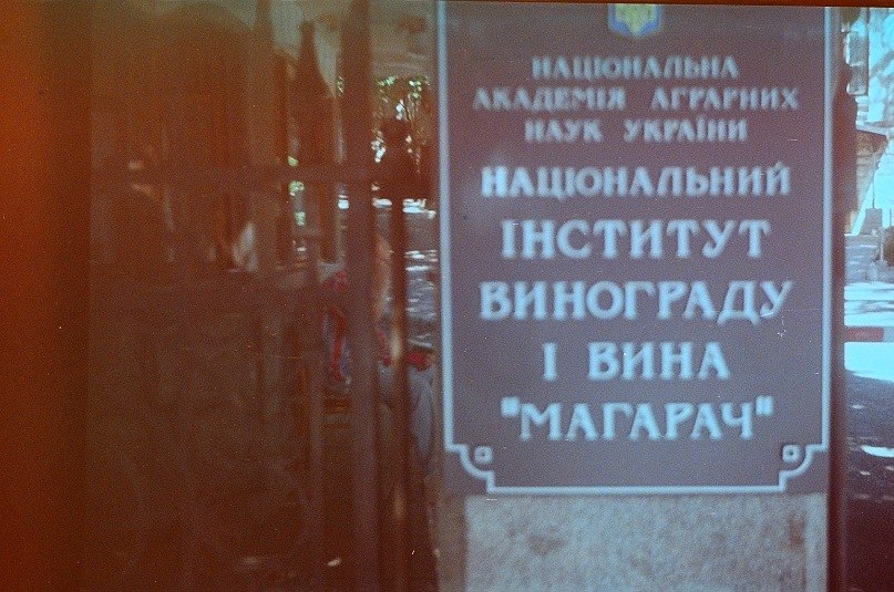 Egor Fedorychev фотография #39