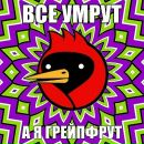 Катько Бирюкова фотография #45 (источник - https://vk.com/id26086263)