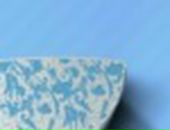 Діанка Олашин фотография #9 (источник - https://vk.com/id68445634)