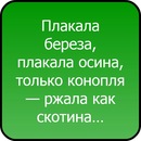 Толік Бужниця фотография #6 (источник - https://vk.com/id153171446)