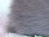 Лера Лоц фотография #9 (источник - https://vk.com/id57504657)