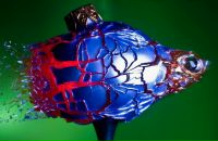 Фотография Калиничевой Натальи