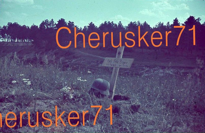 Дмитрий Фил фотография #11