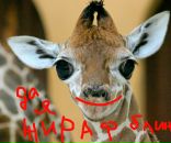 Фотография Валерьевны Самары