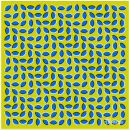 Фотография Харевича Антохи