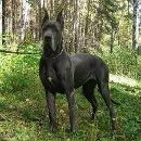 Вадім Дударев фотография #4 (источник - https://vk.com/id163936255)