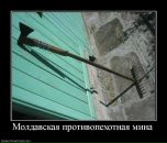 Андрій Дремач фотография #19 (источник - https://vk.com/id7693506)