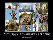 Андрій Абрамчук фотография #22 (источник - https://vk.com/id29152680)