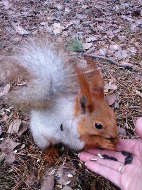 Анна Деккерт фотография #25