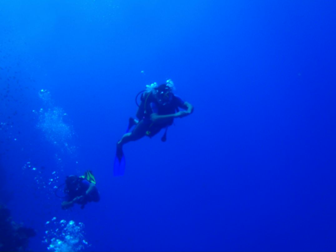 Vit Mi фотография #37