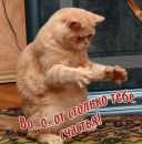 Сергій Горбань фотография #34 (источник - https://vk.com/id43056669)