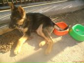 Олександр Калінчук фотография #44 (источник - https://vk.com/id30590655)