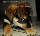 Славік Жук фотография #5 (источник - https://vk.com/id37765923)