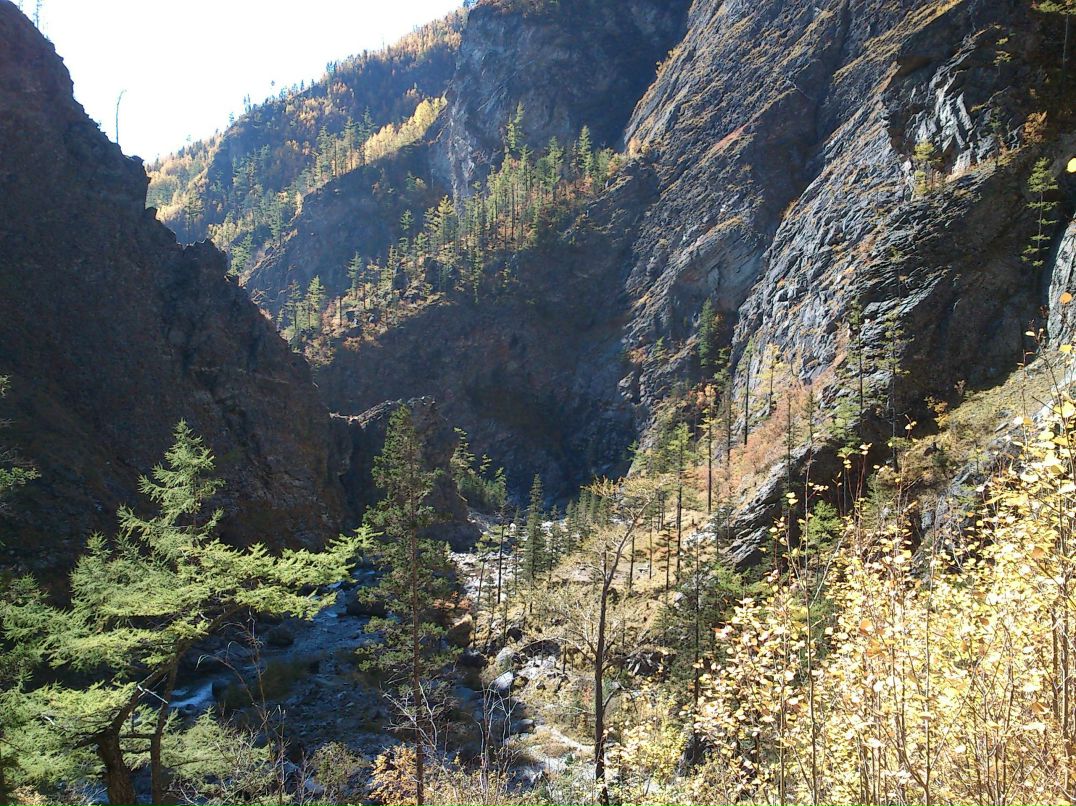 Дмитрий Неруш фотография #48