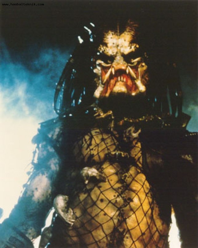 Илья Кришын фотография #28