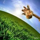 Юлія Саріна фотография #3 (источник - https://vk.com/id77977367)