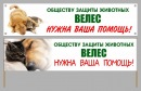 Фотография Гибовой Наталии