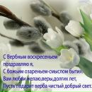 Вікторія Недвецька фотография #34 (источник - https://vk.com/id60430912)