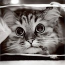 Фотография Полярика Андрея