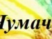 Діана Лиситчук фотография #34 (источник - https://vk.com/id136776848)